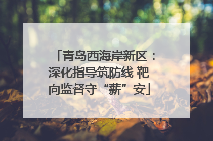 青岛西海岸新区：深化指导筑防线 靶向监督守“薪”安