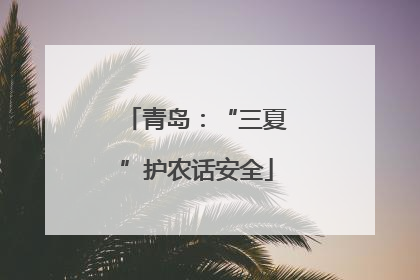 青岛：“三夏”护农话安全