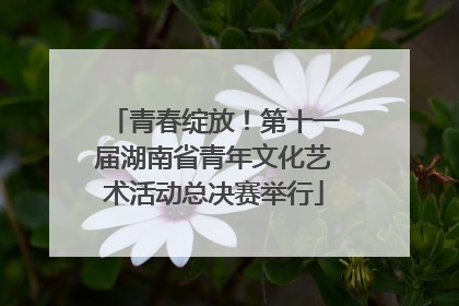 青春绽放！第十一届湖南省青年文化艺术活动总决赛举行