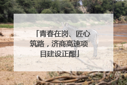 青春在岗、匠心筑路，济商高速项目建设正酣