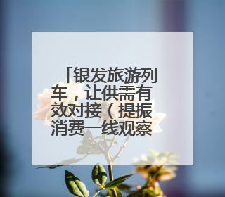 银发旅游列车，让供需有效对接（提振消费一线观察）