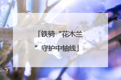 铁骑“花木兰”守护中轴线