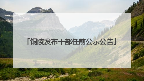 铜陵发布干部任前公示公告