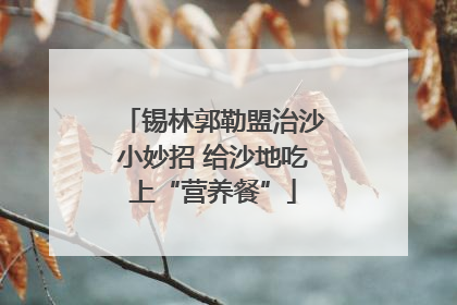 锡林郭勒盟治沙小妙招 给沙地吃上“营养餐”