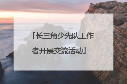 长三角少先队工作者开展交流活动