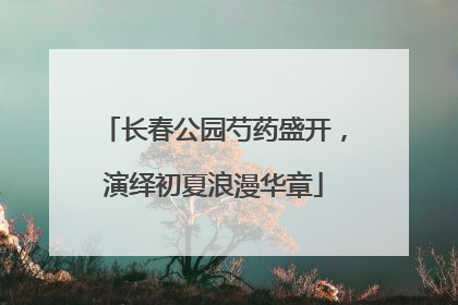 长春公园芍药盛开，演绎初夏浪漫华章