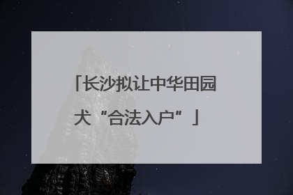 长沙拟让中华田园犬“合法入户”