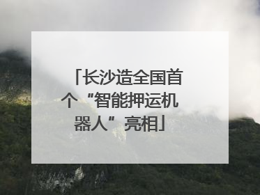 长沙造全国首个“智能押运机器人”亮相