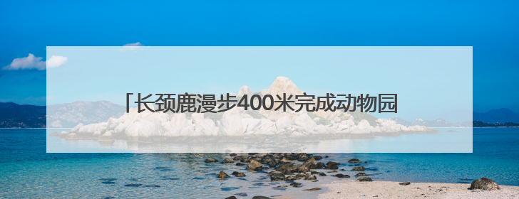长颈鹿漫步400米完成动物园里的“非洲迁徙” 红山森林动物园完成怀孕长颈鹿步行转运