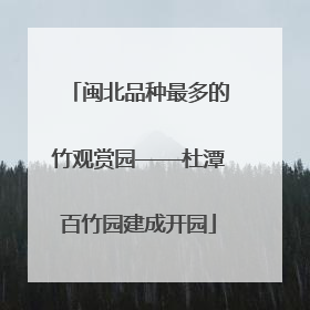 闽北品种最多的竹观赏园——杜潭百竹园建成开园