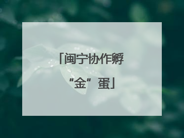 闽宁协作孵“金”蛋