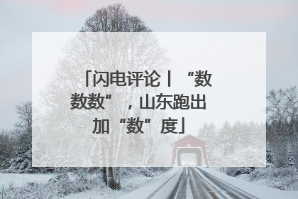 闪电评论丨“数数数”，山东跑出加“数”度