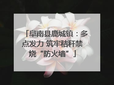 阜南县鹿城镇：多点发力 筑牢秸秆禁烧“防火墙”