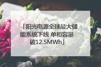 阳光电源全球最大储能系统下线 单柜容量破12.5MWh