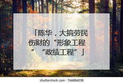 陈华，大搞劳民伤财的“形象工程”“政绩工程”
