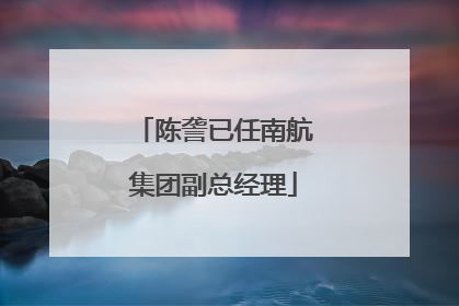 陈詟已任南航集团副总经理