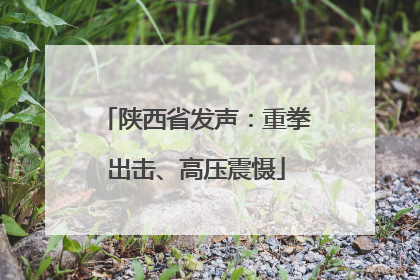 陕西省发声：重拳出击、高压震慑