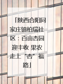 陕西合阳同家庄镇柏瑞社区：百亩杏园迎丰收 果农走上“杏”福路