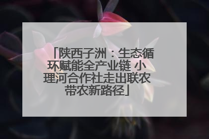 陕西子洲：生态循环赋能全产业链 小理河合作社走出联农带农新路径