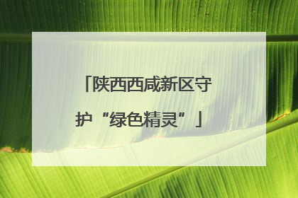 陕西西咸新区守护“绿色精灵”