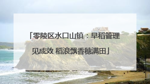 零陵区水口山镇：早稻管理见成效 稻浪飘香穗满田