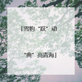 雪豹“跃”动 “典”亮青海