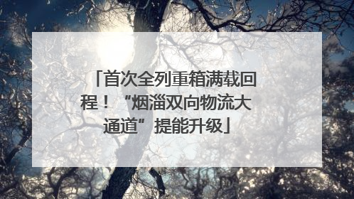 首次全列重箱满载回程！“烟淄双向物流大通道”提能升级