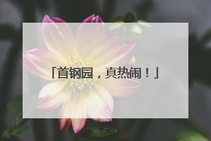 首钢园，真热闹！