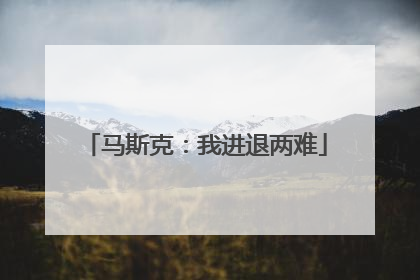 马斯克：我进退两难