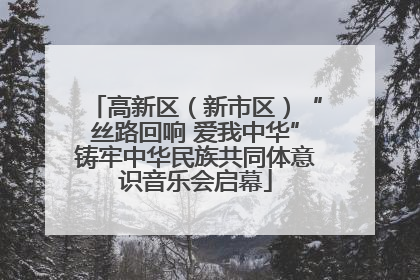 高新区（新市区）“丝路回响 爱我中华”铸牢中华民族共同体意识音乐会启幕