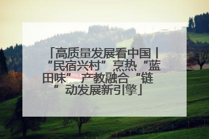 高质量发展看中国丨“民宿兴村”烹热“蓝田味” 产教融合“链”动发展新引擎