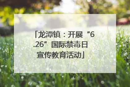 龙潭镇：开展“6.26”国际禁毒日宣传教育活动