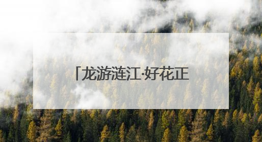 龙游涟江·好花正红—惠水县中医医院举办端午节中医药文化宣传活动