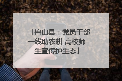鲁山县：党员干部一线助农耕 高校师生宣传护生态