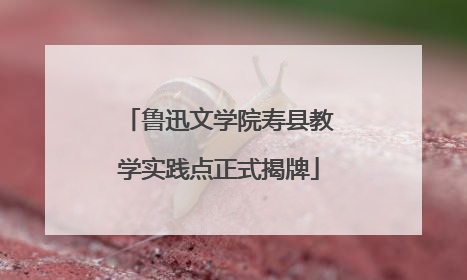 鲁迅文学院寿县教学实践点正式揭牌