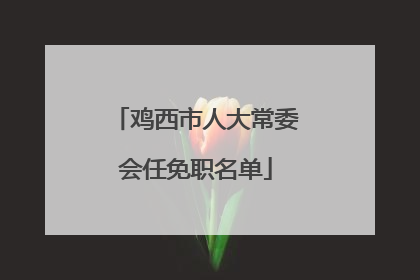 鸡西市人大常委会任免职名单