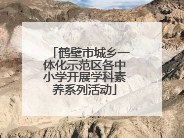 鹤壁市城乡一体化示范区各中小学开展学科素养系列活动