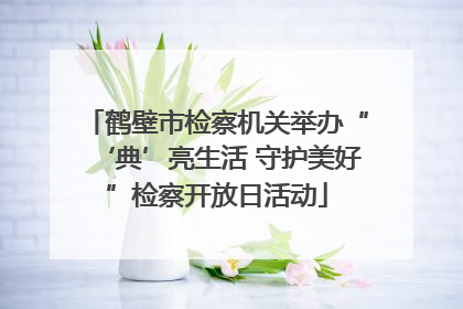 鹤壁市检察机关举办“‘典’亮生活 守护美好”检察开放日活动