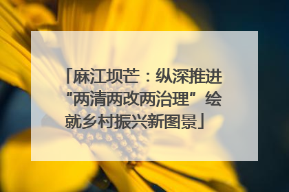 麻江坝芒：纵深推进“两清两改两治理”绘就乡村振兴新图景
