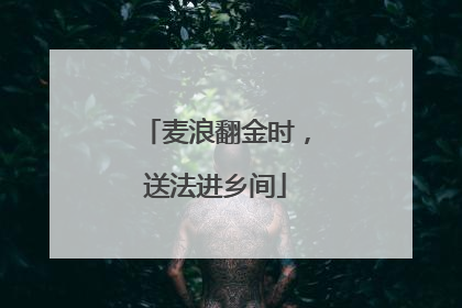麦浪翻金时，送法进乡间