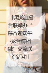 黑龙江省台联举办“粽香迎端午·龙台情相融”交流联谊活动