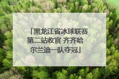 黑龙江省冰球联赛第二站收官 齐齐哈尔兰迪一队夺冠