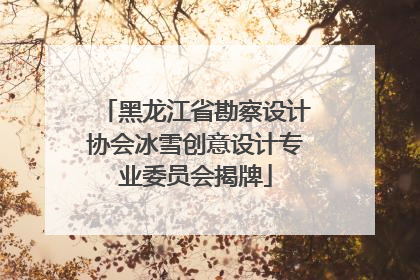黑龙江省勘察设计协会冰雪创意设计专业委员会揭牌
