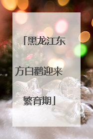 黑龙江东方白鹳迎来繁育期