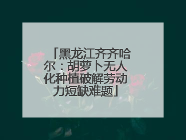黑龙江齐齐哈尔：胡萝卜无人化种植破解劳动力短缺难题