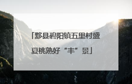黟县碧阳镇五里村盛夏桃熟好“丰”景