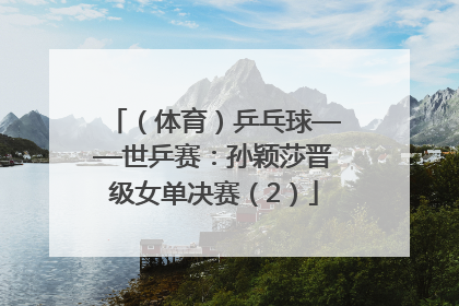 （体育）乒乓球——世乒赛：孙颖莎晋级女单决赛（2）