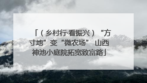 （乡村行·看振兴）“方寸地”变“微农场” 山西神池小庭院拓宽致富路
