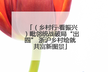 （乡村行·看振兴）毗邻统战破局“出圈” 浙沪乡村绘就共富新图景