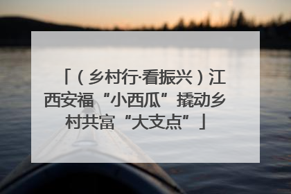（乡村行·看振兴）江西安福“小西瓜”撬动乡村共富“大支点”